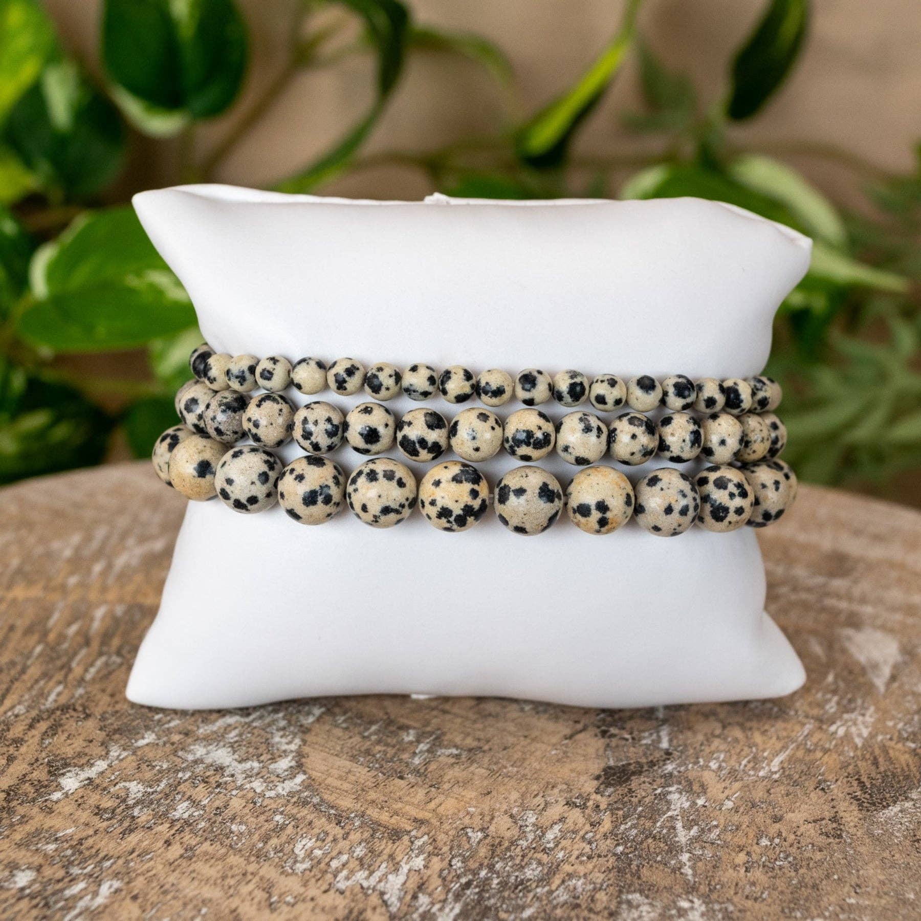 Dalmation Jasper Bracelet